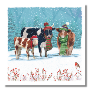 Christmas Cards, Diaries, Advent Calendars and Gift Wrap