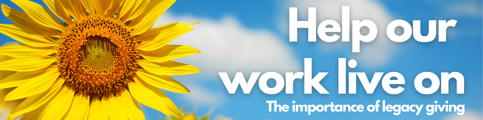Help our work live on Help our work live on