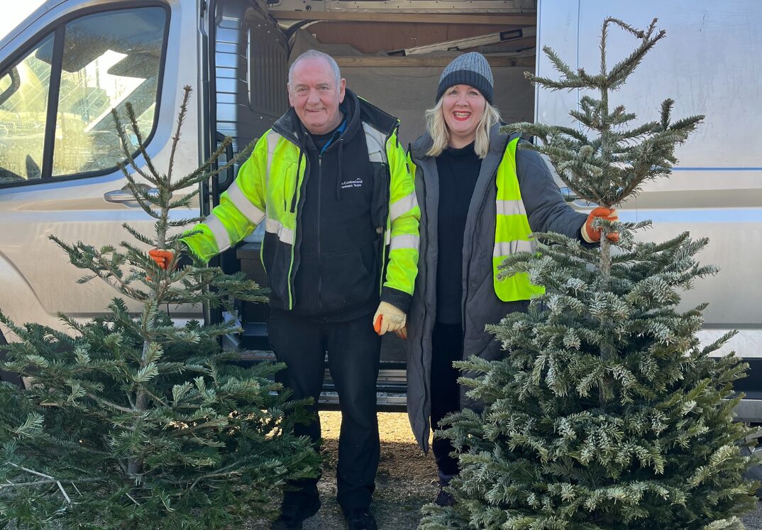 Untitled design (20)